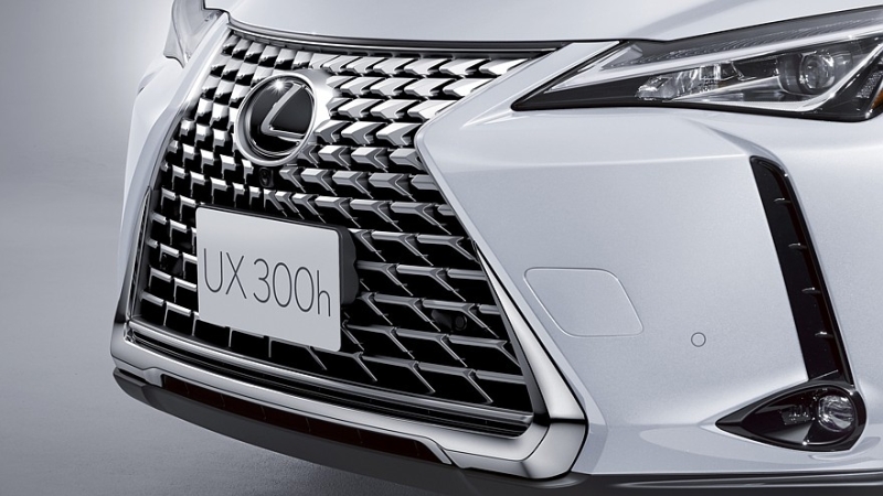 Lexus UX 300h обзавёлся парой спецверсий, их цены известны